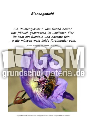 Bienengedicht-Goethe.pdf